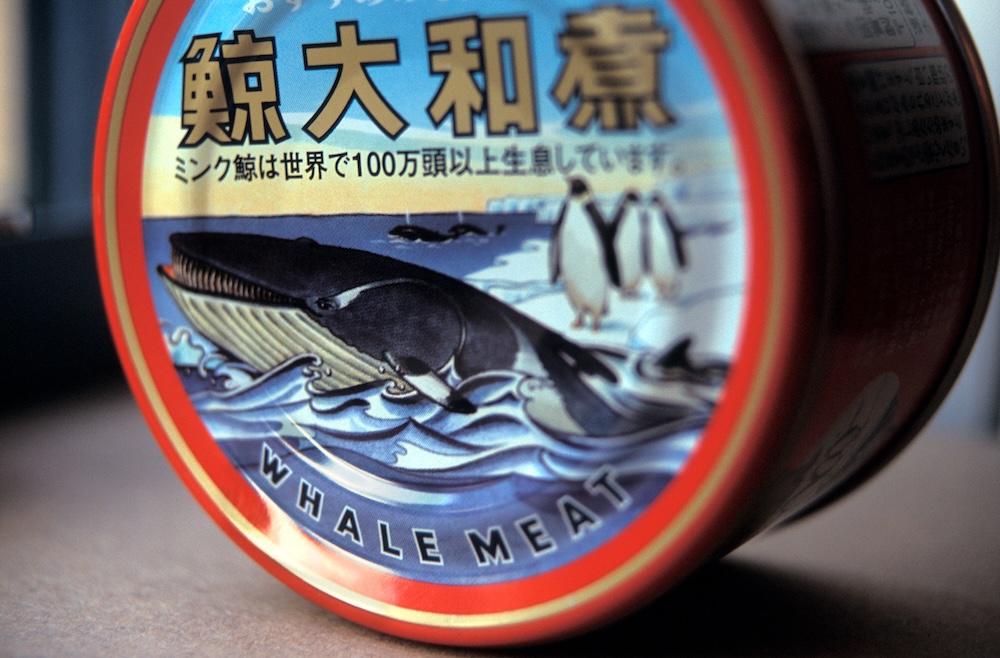 2004 12 japan whalemeat tin sample c.eia