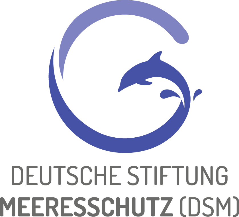 dsm logo rgb 2 bild mit schrift lang