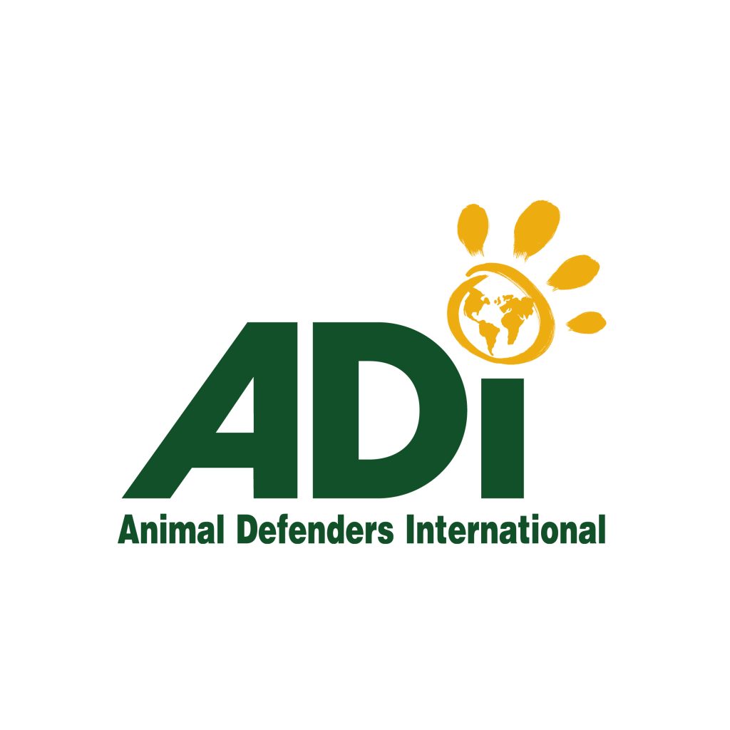 adi logo 05 rgb square profile pic