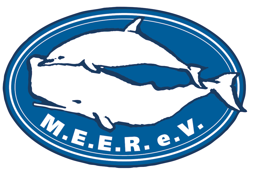 meer logo transparent kleinjpg