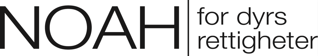 noah