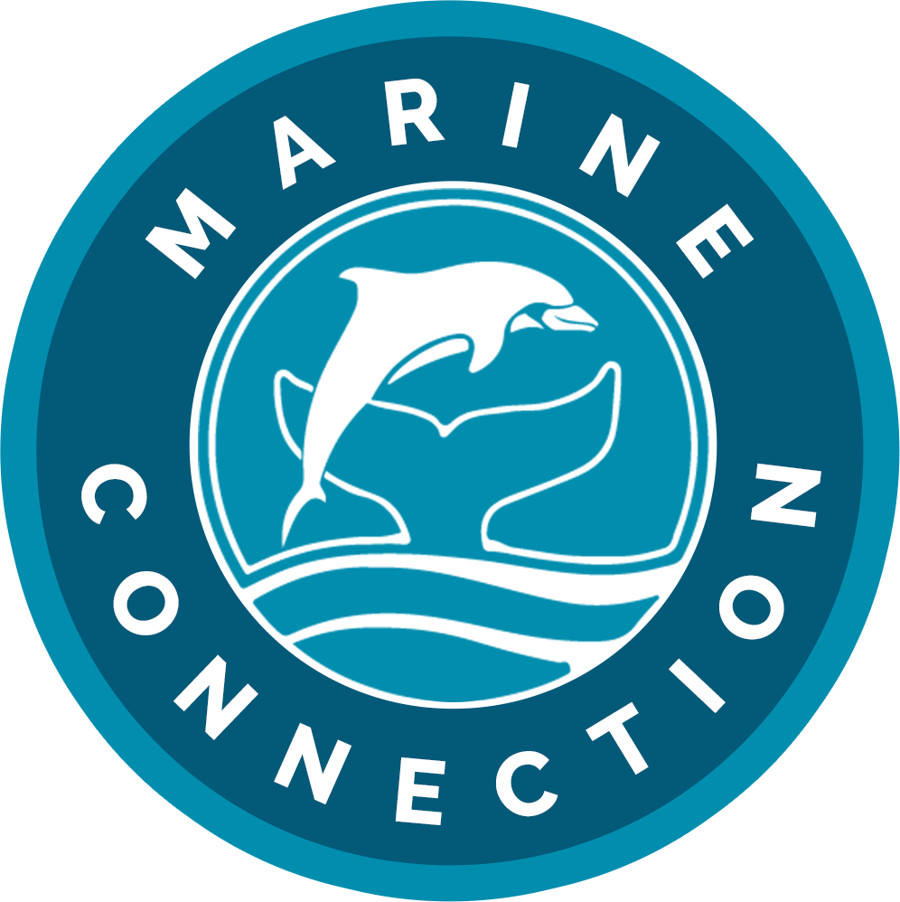 marine connection