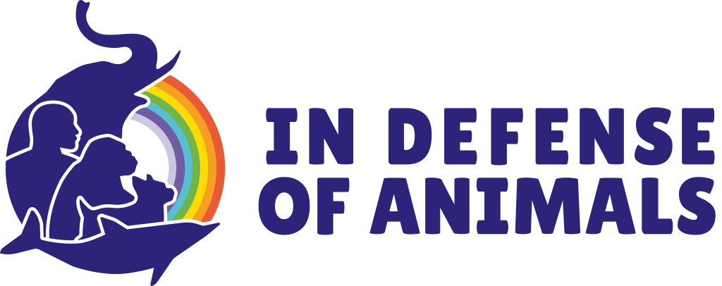 ida large logo